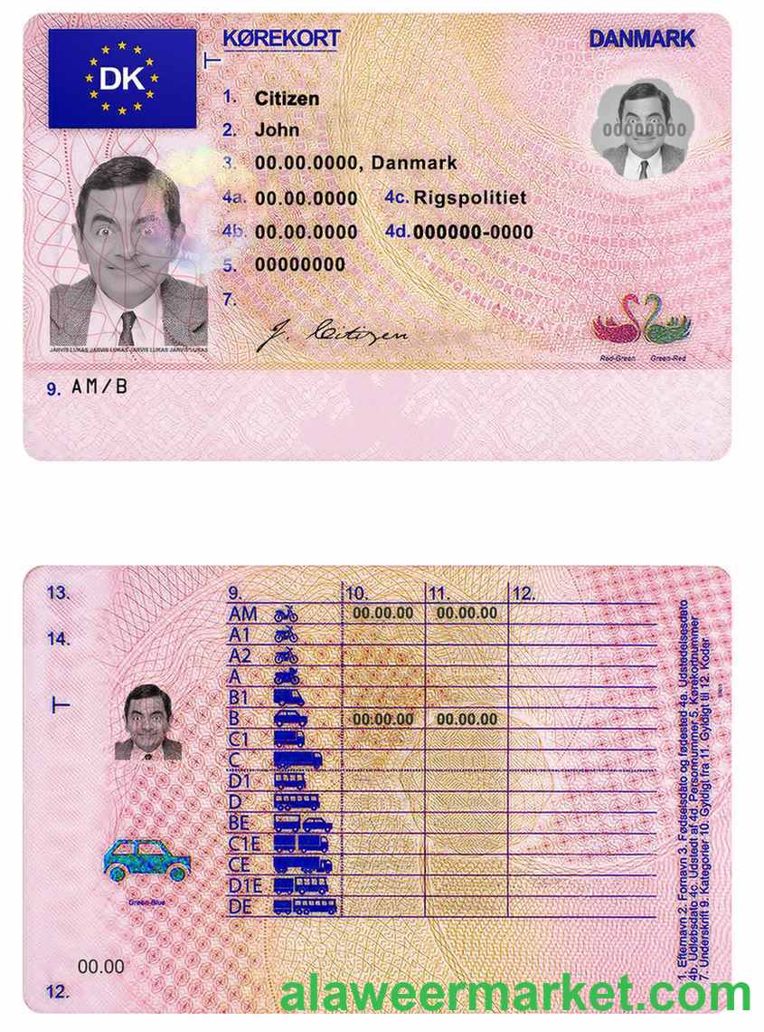 Denmark driving license